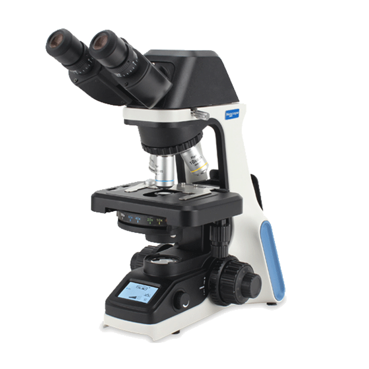 NE300紧凑型教学实验生物显微镜